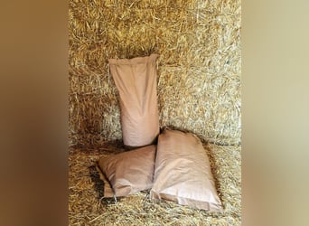 Pellet di paglia regionali, pellet per il letto, cubi di paglia, premiscelati, pellet strutturali, p