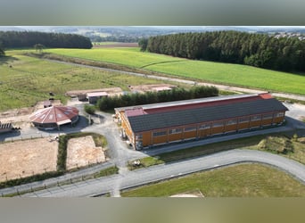 Große Reitanlage in idyllischer Alleinlage mit exklusivem Wohnhaus und mehreren Ferienhäusern