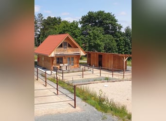 Große Reitanlage in idyllischer Alleinlage mit exklusivem Wohnhaus und mehreren Ferienhäusern