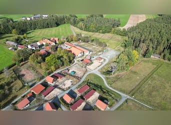 Große Reitanlage in idyllischer Alleinlage mit exklusivem Wohnhaus und mehreren Ferienhäusern