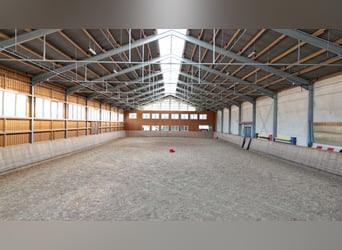 Große Reitanlage in idyllischer Alleinlage mit exklusivem Wohnhaus und mehreren Ferienhäusern