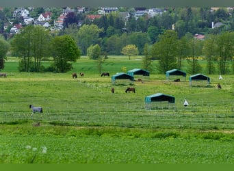 Große Reitanlage mit mehreren Wohneinheiten im Norden Frankfurts