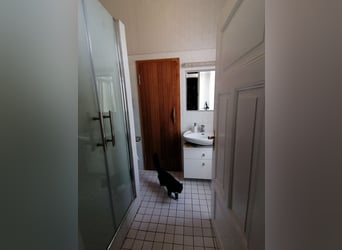Kernsaniertes Landhaus auf 2,9 Hektar mit privater Reithalle, Reitplatz, Innen-und Außenboxen
