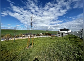 Kleine hochwertige Reitanlage mit exklusiver, energetischer und neuwertiger Luxus-Villa