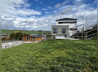Kleine hochwertige Reitanlage mit exklusiver, energetischer und neuwertiger Luxus-Villa
