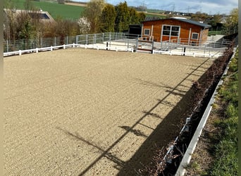 Kleine hochwertige Reitanlage mit exklusiver, energetischer und neuwertiger Luxus-Villa