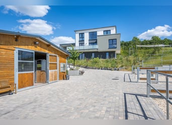 Kleine hochwertige Reitanlage mit exklusiver, energetischer und neuwertiger Luxus-Villa