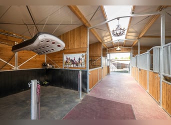 Kleine hochwertige Reitanlage mit exklusiver, energetischer und neuwertiger Luxus-Villa