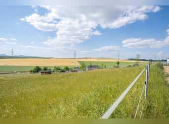 Kleine hochwertige Reitanlage mit exklusiver, energetischer und neuwertiger Luxus-Villa