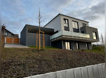 Kleine hochwertige Reitanlage mit exklusiver, energetischer und neuwertiger Luxus-Villa