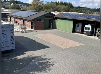 Kompakte, hochwertige kleine Reitanlage mit vielfältigen Nutzungsmöglichkeiten und Potential