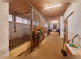 Kompakte Reitanlage im Schwarzwald mit gewerblicher Pferdehaltung!