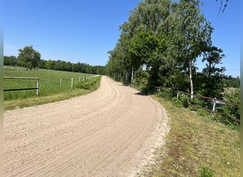 Kompakte Reitsportanlage im Herzen von Ostwestfalen-Lippe