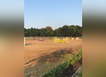 Nähe Vechta !  Geniale Reitanlage in traumhafter Alleinlage mit ca. 7 Hektar   **Provisionsfrei**
