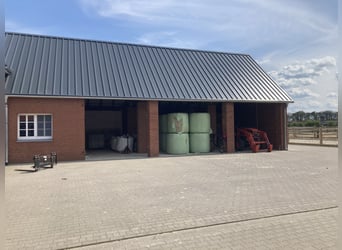 Nähe Vechta !  Geniale Reitanlage in traumhafter Alleinlage mit ca. 7 Hektar   **Provisionsfrei**