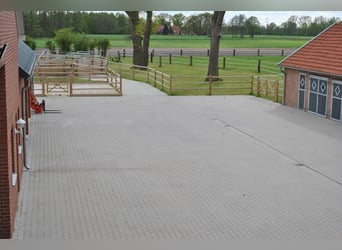 Nähe Vechta !  Geniale Reitanlage in traumhafter Alleinlage mit ca. 7 Hektar   **Provisionsfrei**