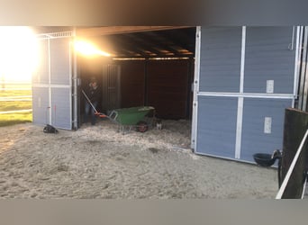 Nähe Vechta !  Geniale Reitanlage in traumhafter Alleinlage mit ca. 7 Hektar   **Provisionsfrei**