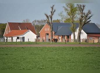 Nähe Vechta !  Geniale Reitanlage in traumhafter Alleinlage mit ca. 7 Hektar   **Provisionsfrei**