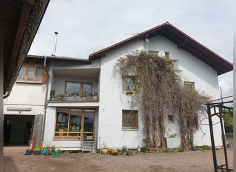 Pferdebetrieb mit lukrativem, großem Wohnhaus im Raum Darmstadt-Dieburg
