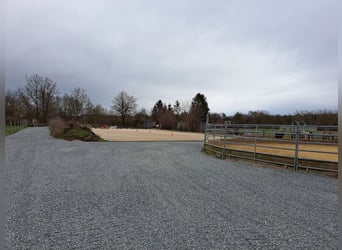 Pferdebetrieb mit lukrativem, großem Wohnhaus im Raum Darmstadt-Dieburg