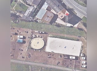Pferdebetrieb mit lukrativem, großem Wohnhaus im Raum Darmstadt-Dieburg