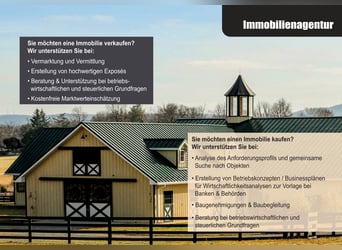 Pferdebetrieb mit lukrativem, großem Wohnhaus im Raum Darmstadt-Dieburg