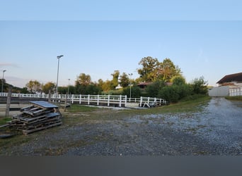 Top gepflegte Reitsportanlage mit Sportstätten-Widmung. 