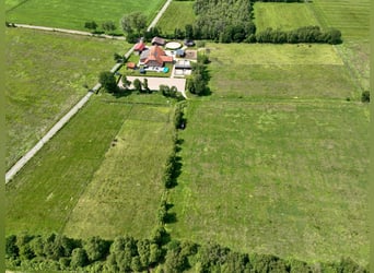 Traumhafte Reitanlage mit exklusivem Wohnhaus, Pferdeställen, Round-Pen, Reitplatz & Weiden in Jade