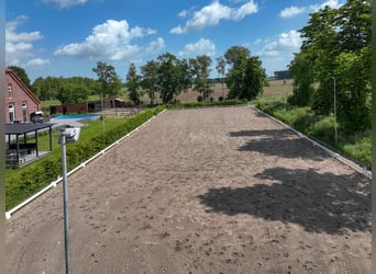 Traumhafte Reitanlage mit exklusivem Wohnhaus, Pferdeställen, Round-Pen, Reitplatz & Weiden in Jade