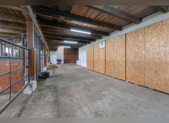 Traumhafte Reitanlage mit exklusivem Wohnhaus, Pferdeställen, Round-Pen, Reitplatz & Weiden in Jade