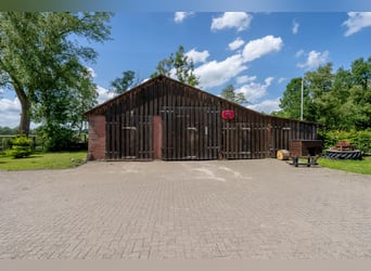 Traumhafte Reitanlage mit exklusivem Wohnhaus, Pferdeställen, Round-Pen, Reitplatz & Weiden in Jade