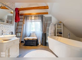 Traumhafter Reiterhof mit kernsaniertem Wohnhaus und viel Land in Rimbach