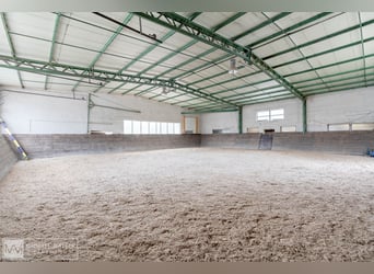 Traumhafter Reiterhof mit kernsaniertem Wohnhaus und viel Land in Rimbach
