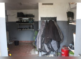 Wohnhaus mit Reitanlage, überdachtem Longierzirkel, Pferdeställen, Offenställe, Reitplatz und Weiden
