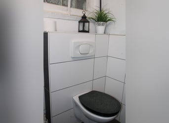 Wohnhaus mit Reitanlage, überdachtem Longierzirkel, Pferdeställen, Offenställe, Reitplatz und Weiden