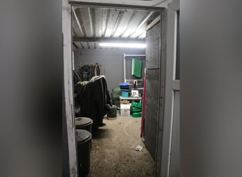 Wohnhaus mit Reitanlage, überdachtem Longierzirkel, Pferdeställen, Offenställe, Reitplatz und Weiden