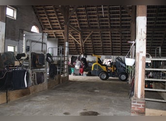 Wohnhaus mit Reitanlage, überdachtem Longierzirkel, Pferdeställen, Offenställe, Reitplatz und Weiden