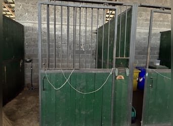 Box in fila per interni