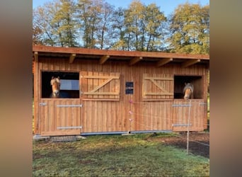 Weidehütte 3,60 x 6,40 Lärche 