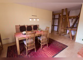 Cavalli spagnoli PRE - Allevamento nel Südharz