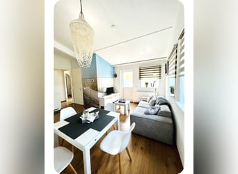 Consiglio segreto per la tua vacanza da sogno con il tuo cavallo in Olanda