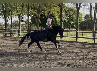Vacanze a cavallo in Bella Italia
