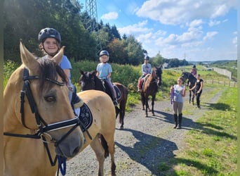 Reiterferien, Ferienprogramm, Ferienfreizeit, Tagesfreizeit