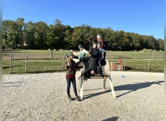 Reiterferien „Herbstzauber“