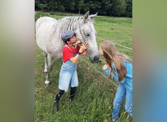 Reittherapie für Kinder und Erwachsene