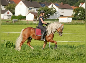 Vacanze a cavallo nella splendida valle dell’Eder – il paradiso equestre Talhof