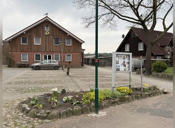 Vacanze equestri per bambini nella brughiera di Lüneburg
