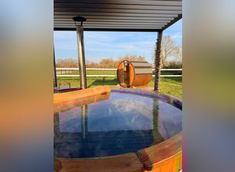 Escursione in famiglia nel cuore di un maneggio – natura, cavalli e benessere