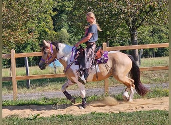 Pinto Horse, Giumenta, 5 Anni, 154 cm, Pezzato