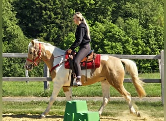Pintos, Gelding, 4 years, 15.2 hh, Pinto